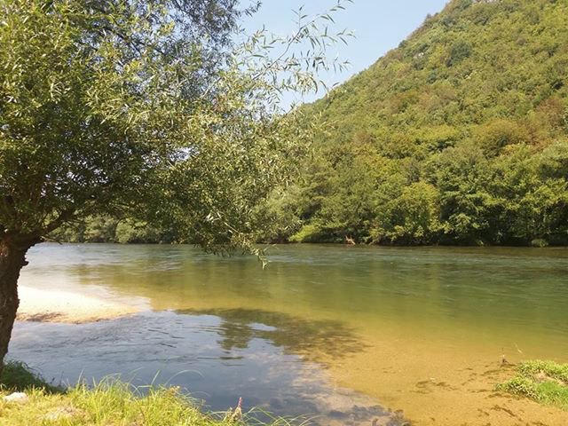 Petak, 17. avgust 2018 / Snježana Škorić Ducanović, Krupa na Vrbasu