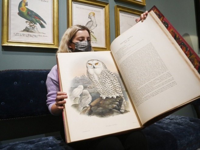 Knjige ilustracija Darvinovog "čovjeka ptice" na prodaju za dva miliona